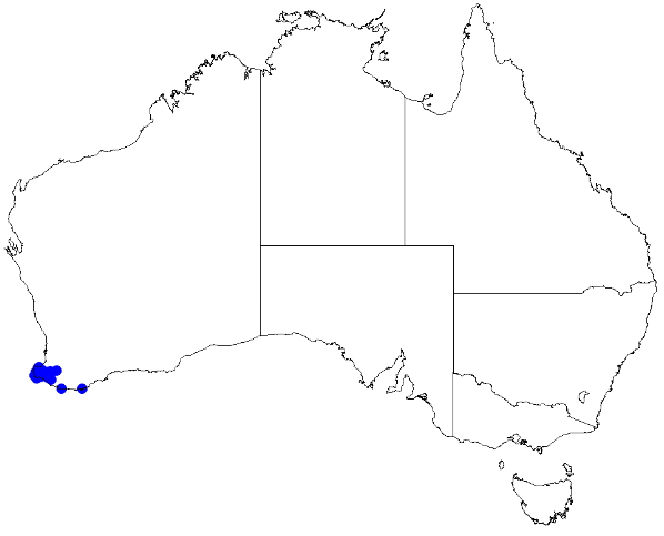 File:Boronia tenuior DistMap119.png