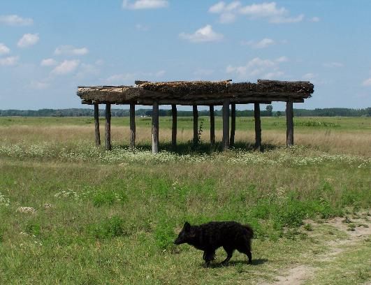 File:Bugac shelter.JPG