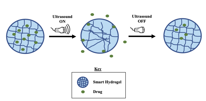 File:Figure 3.0.png