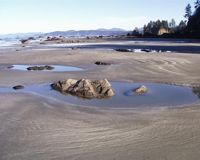 File:Olym coast4full (beach near ozette river).jpg