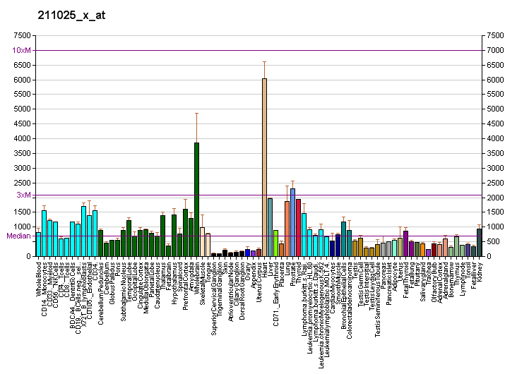 File:PBB GE COX5B 211025 x at fs.png