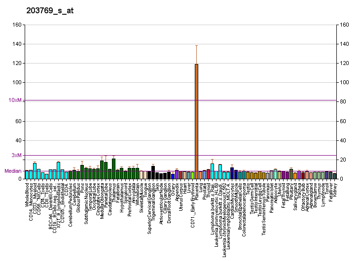 File:PBB GE STS 203769 s at fs.png