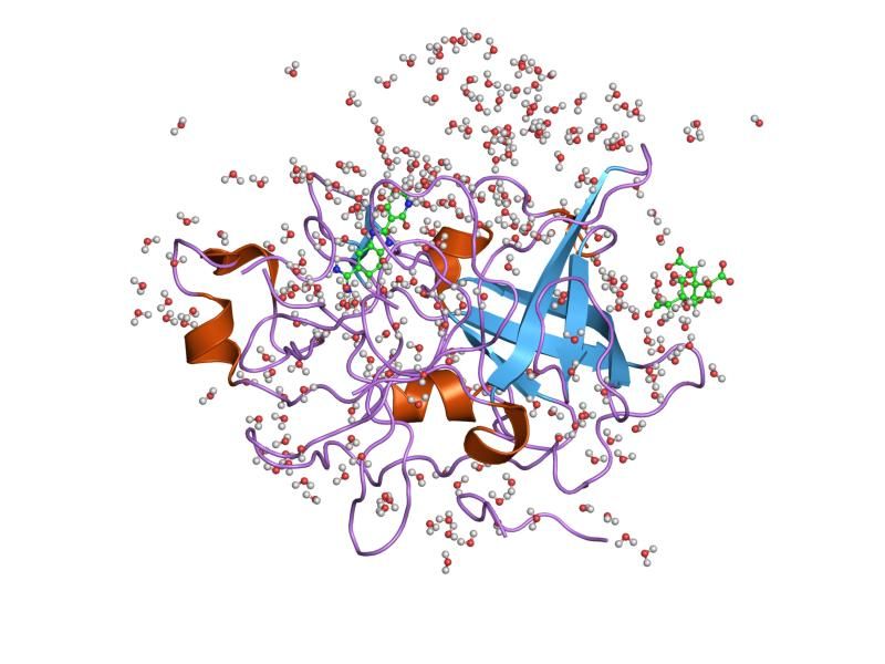 File:PDB 1gi7 EBI.jpg