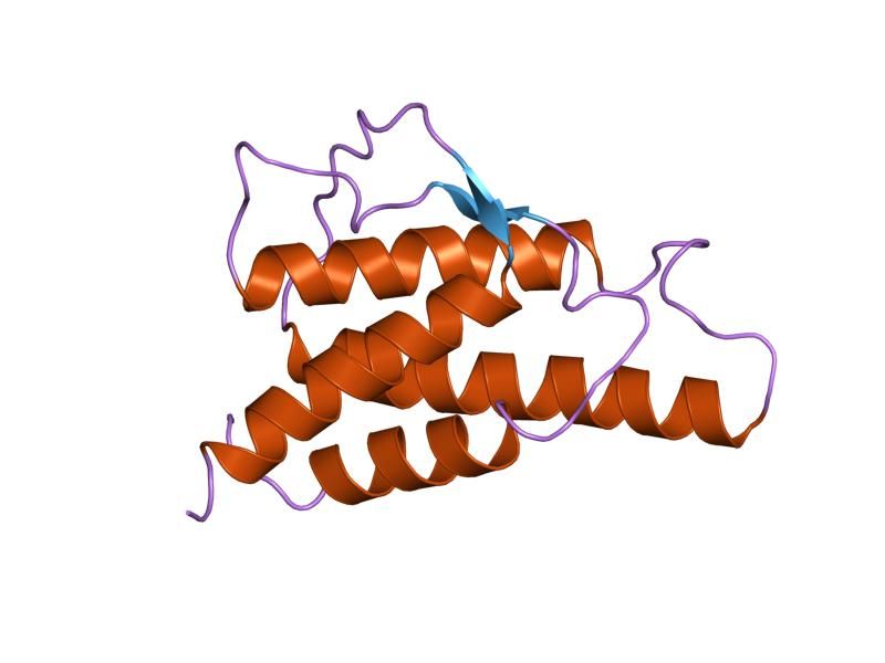 File:PDB 1hik EBI.jpg