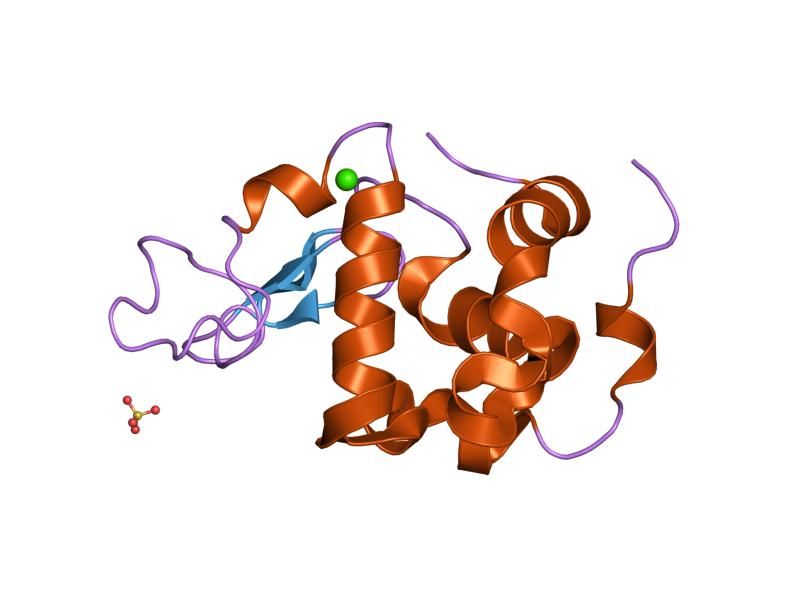 File:PDB 1hml EBI.jpg