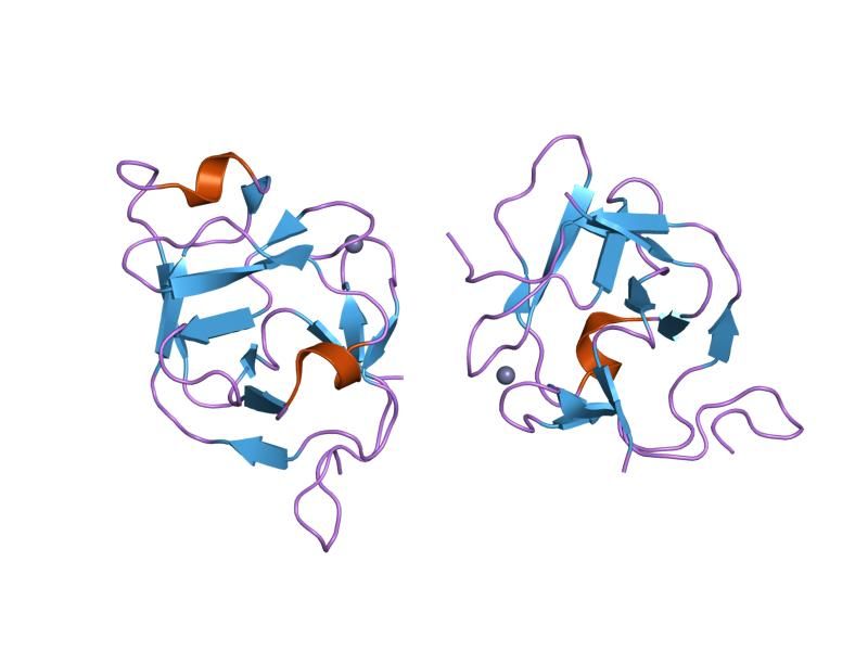 File:PDB 1hxr EBI.jpg