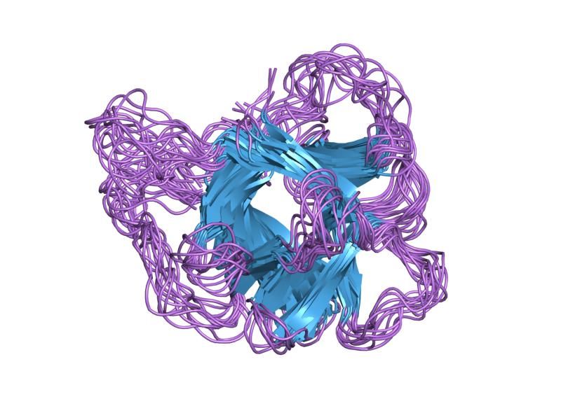 File:PDB 1irp EBI.jpg