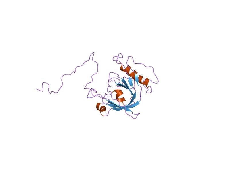 File:PDB 1n3h EBI.jpg