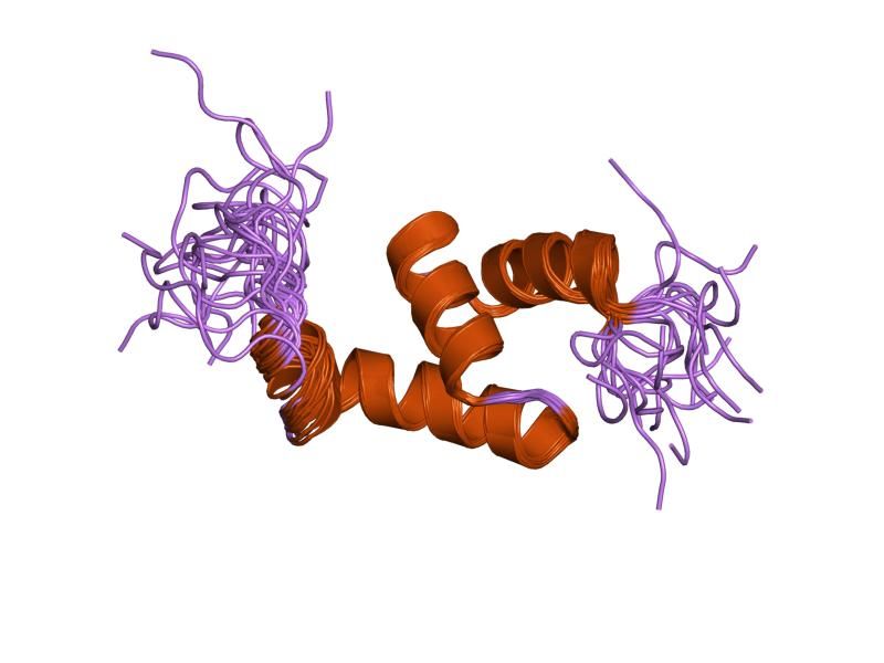 File:PDB 1wgn EBI.jpg