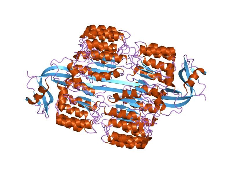 File:PDB 1z7x EBI.jpg