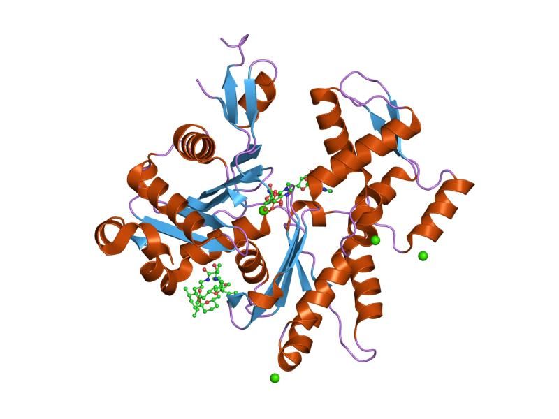 File:PDB 2fxu EBI.jpg