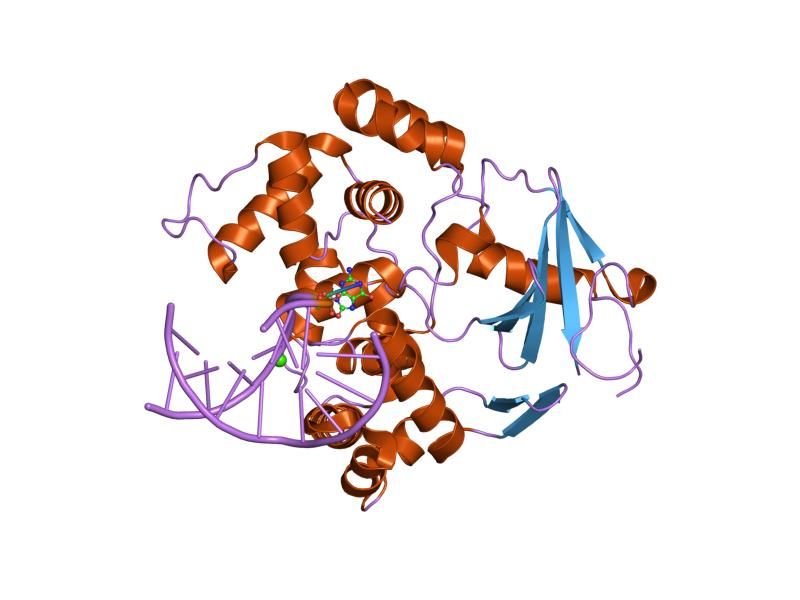 File:PDB 2nof EBI.jpg