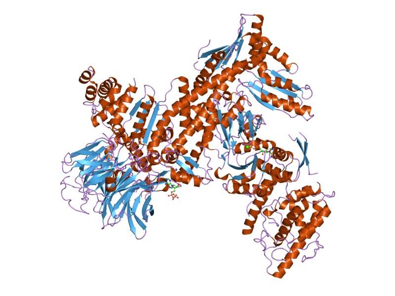 File:PDB 2p9p EBI.jpg