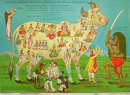 File:Sacred cow2.jpg