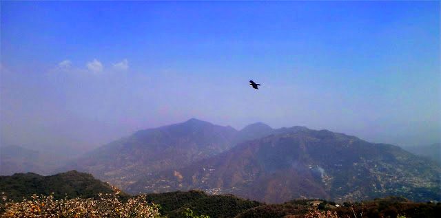 File:Solan city from mount karol.JPG