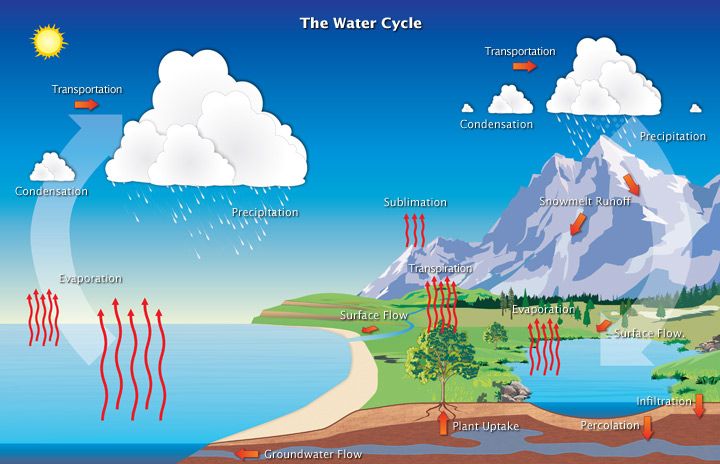 File:The Water Cycle (8265072146).jpg