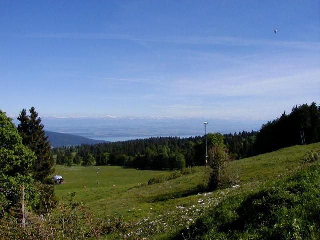 File:Vue des Alpes.jpg