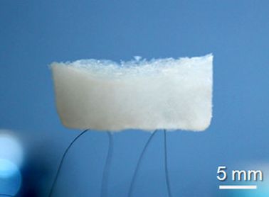 File:BN aerogel on hair.jpg