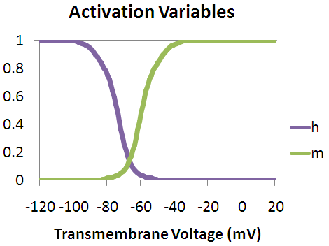 File:Hodgkin Huxley Model Activation Variables.PNG