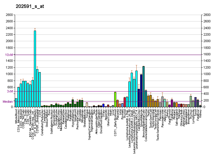 File:PBB GE SSBP1 202591 s at fs.png