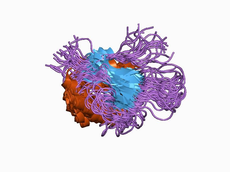 File:PDB 1d1r EBI.jpg