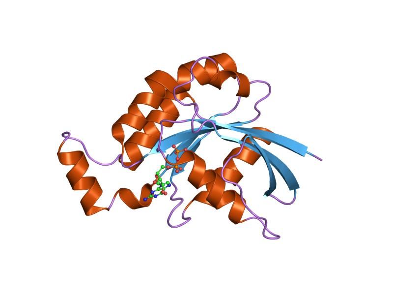 File:PDB 1dpf EBI.jpg