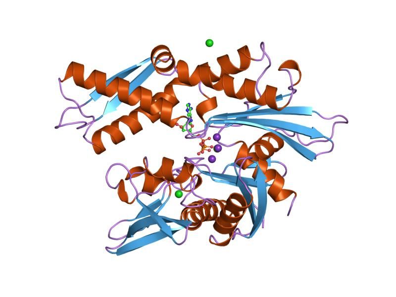 File:PDB 1kaz EBI.jpg