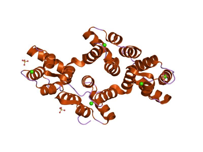 File:PDB 1n41 EBI.jpg