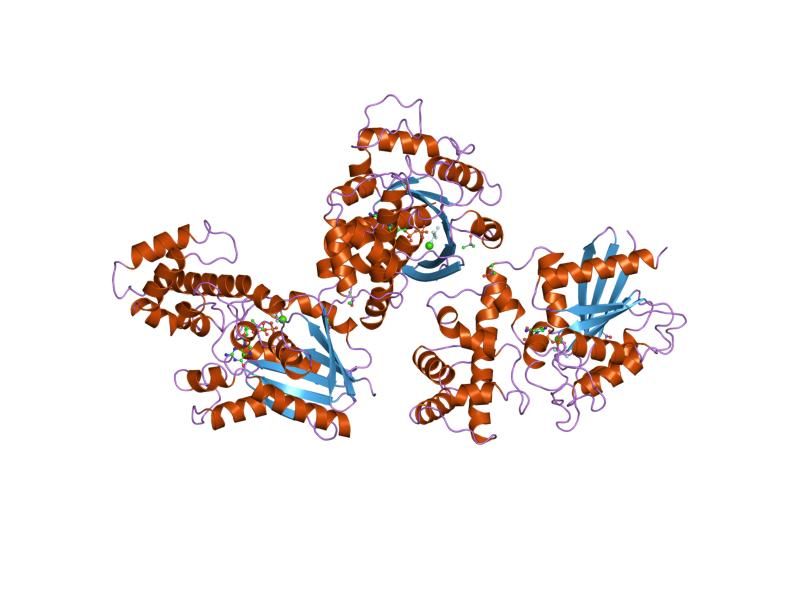 File:PDB 1tad EBI.jpg