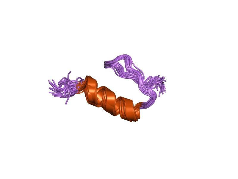 File:PDB 1va3 EBI.jpg