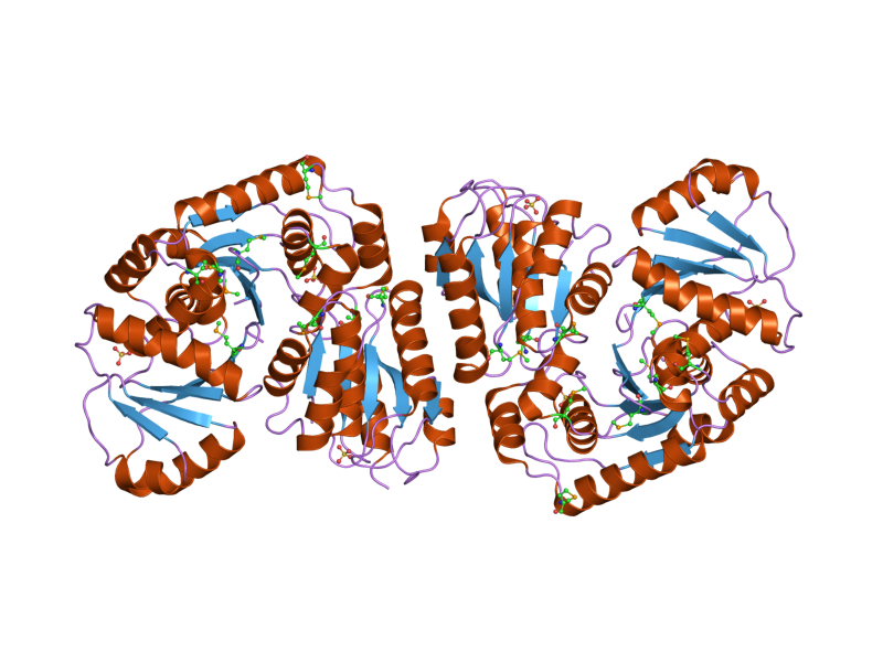 File:PDB 1xm2 EBI.png