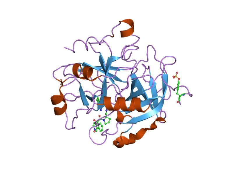 File:PDB 1zrb EBI.jpg