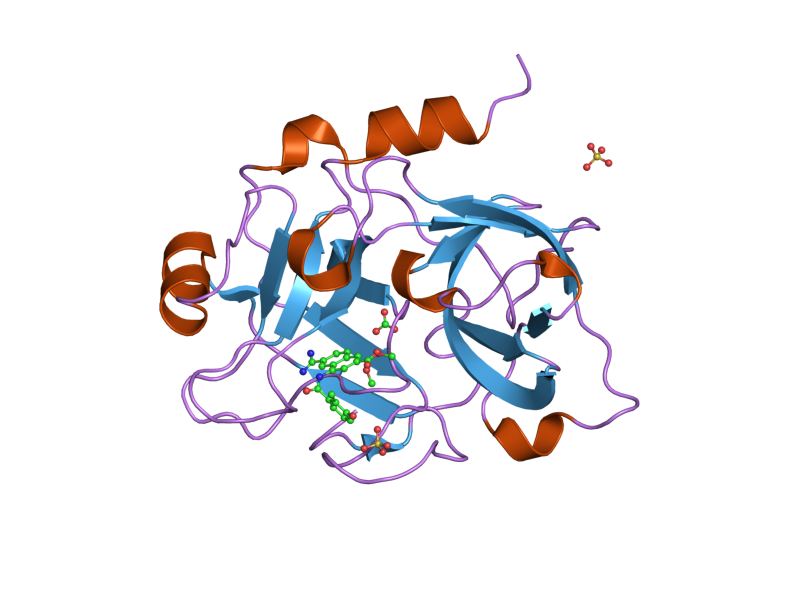 File:PDB 1zsk EBI.png