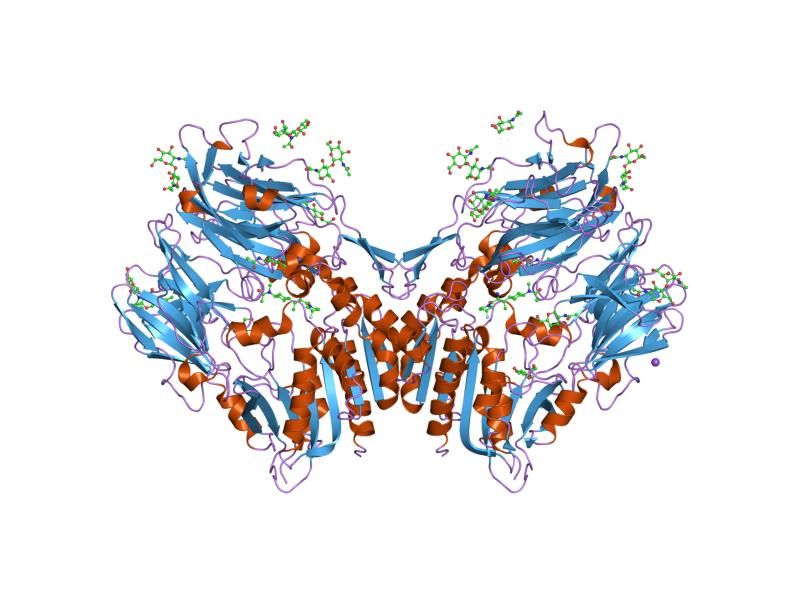 File:PDB 2oph EBI.jpg