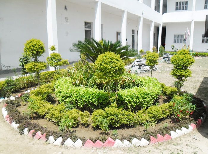 File:School Mini Garden.jpg