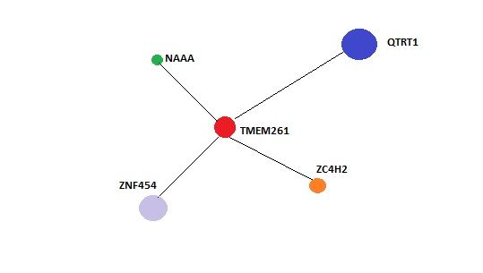 File:TMEM261interactions.jpg