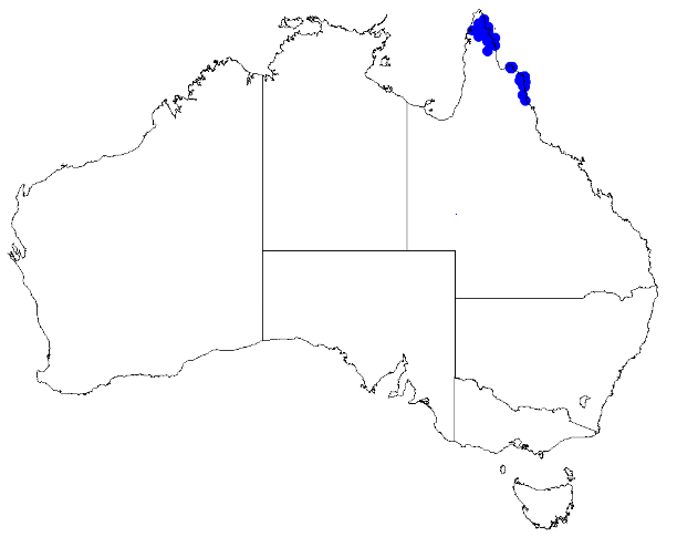 File:Boronia alulata DistMap5.png