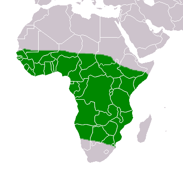 File:Chalcomitra senegalensis distribution map, crop.png