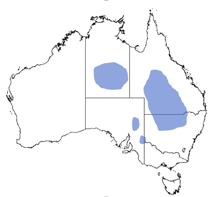 File:Estimated Distribution of Oedura cincta.png