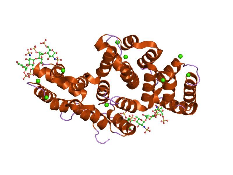 File:PDB 1g5n EBI.jpg