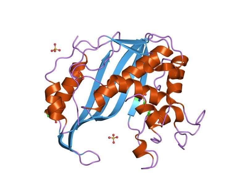 File:PDB 1hw4 EBI.jpg