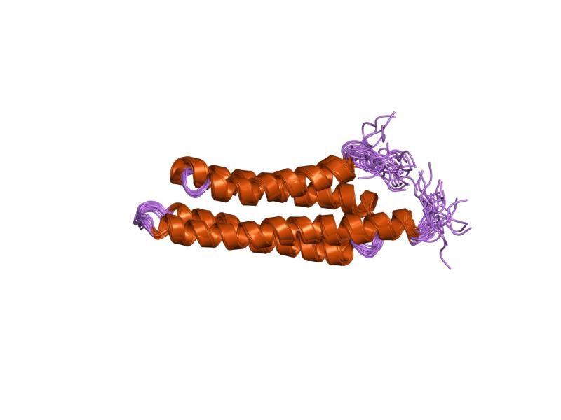 File:PDB 1ktm EBI.jpg