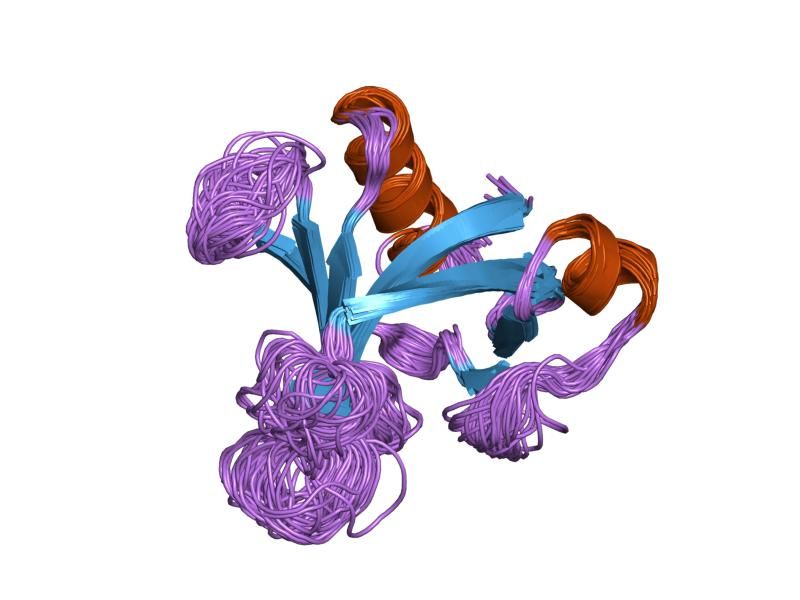 File:PDB 1mph EBI.jpg