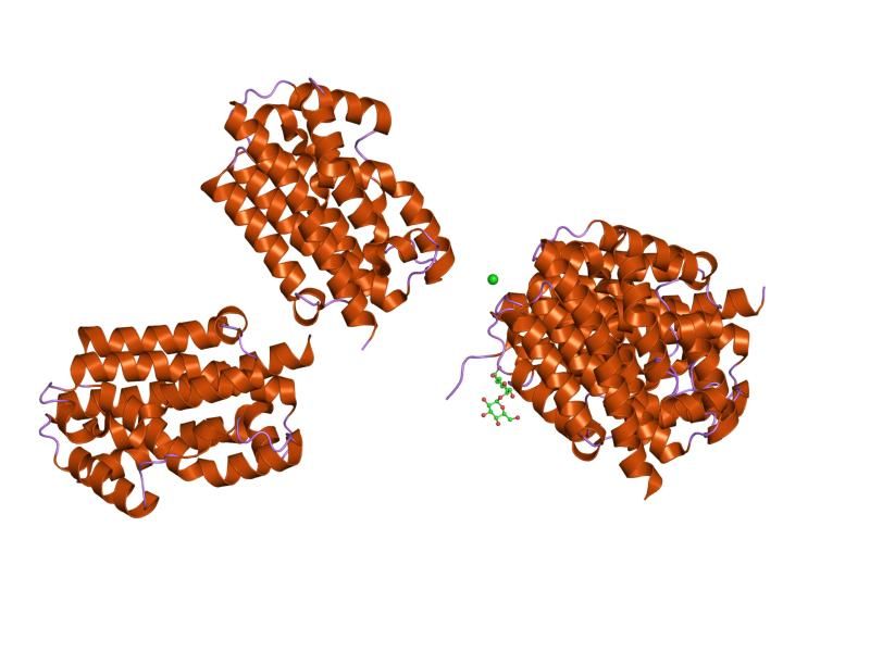 File:PDB 1ni6 EBI.jpg