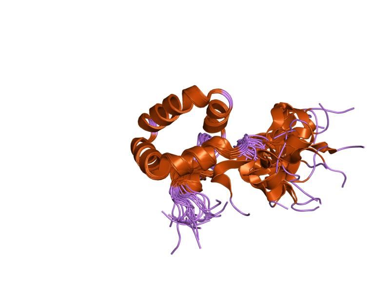 File:PDB 1pve EBI.jpg