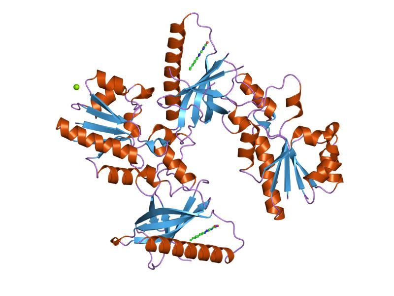 File:PDB 1s4m EBI.jpg