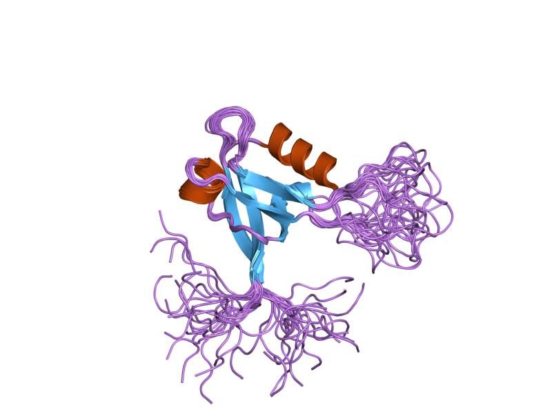 File:PDB 1uhp EBI.jpg