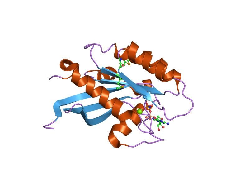 File:PDB 1x3s EBI.jpg