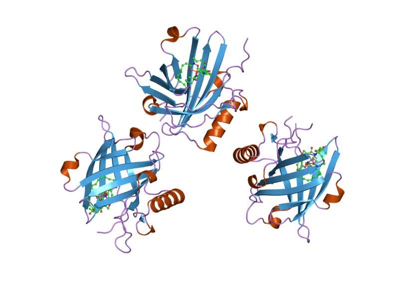 File:PDB 1x89 EBI.jpg