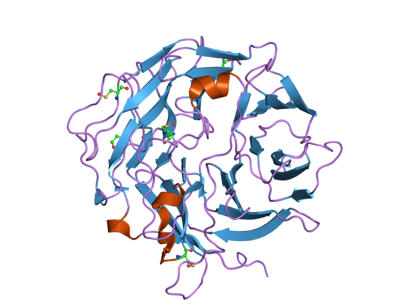 File:PDB 2aq5 EBI.png